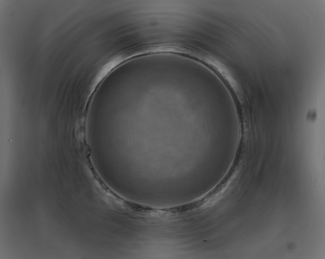 X0000094901097200711291227