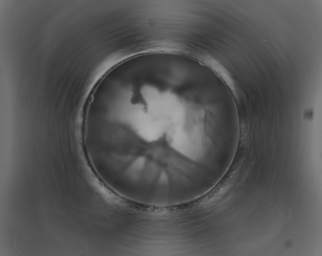 X0000094901099200711291226