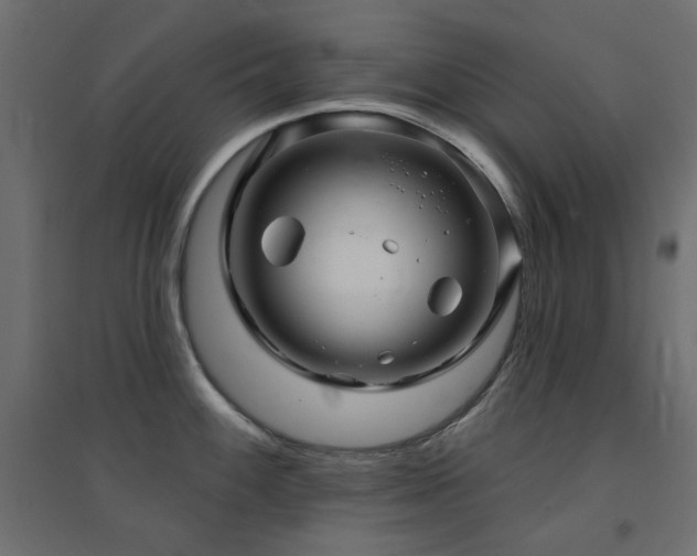 X0000094901100200711291226