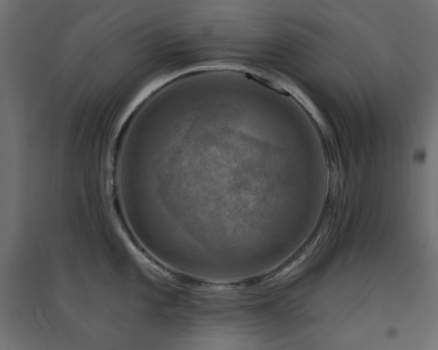 X0000094901101200711291226