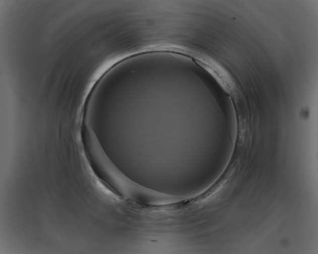 X0000094901102200711291226