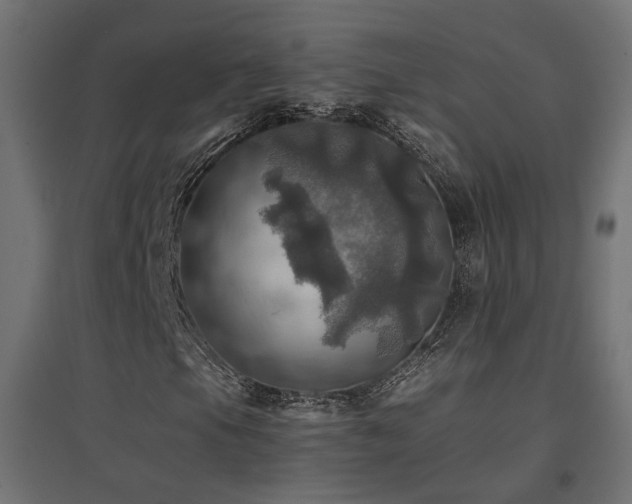 X0000094901105200711291226