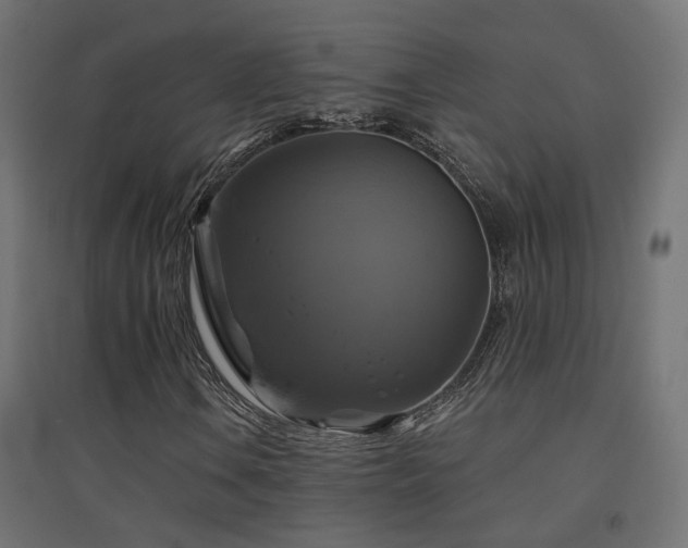X0000094901106200711291226