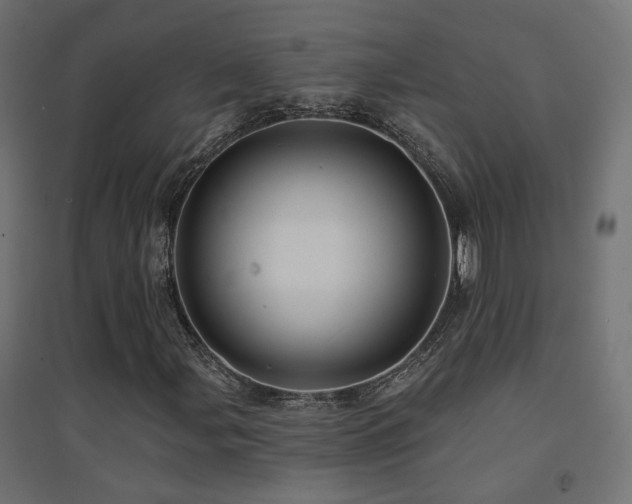 X0000094901107200711291226