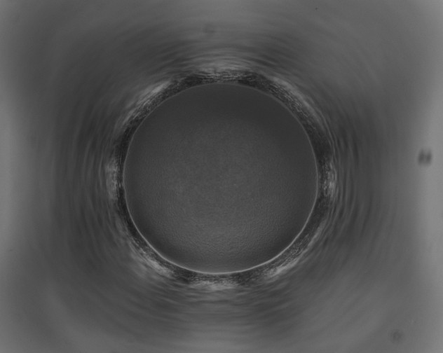 X0000094901108200711291226