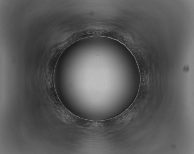 X0000094901109200711291226