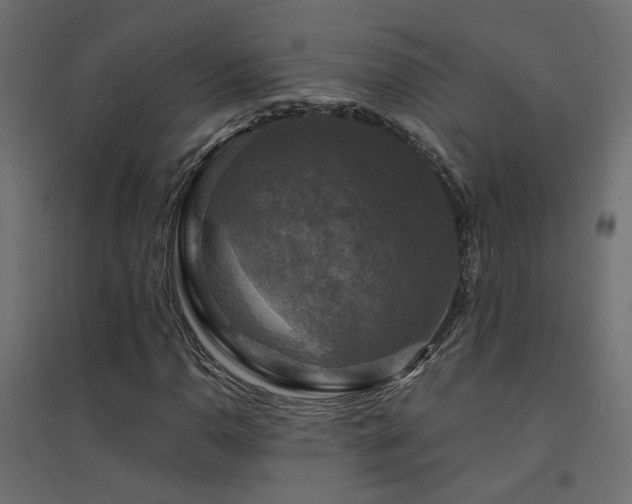 X0000094901110200711291226