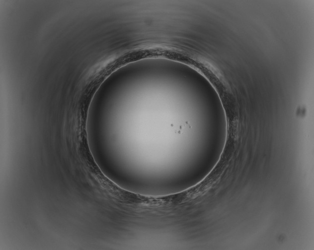X0000094901111200711291226