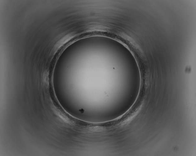 X0000094901113200711291226