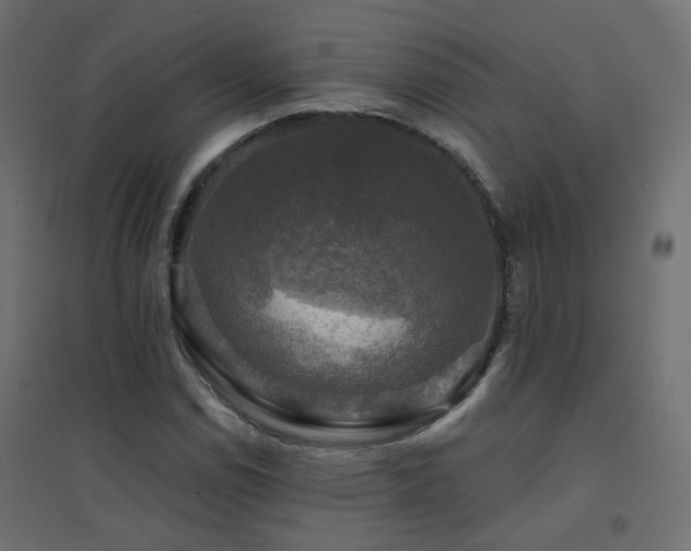 X0000094901114200711291226
