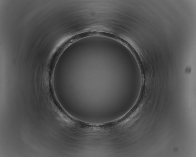 X0000094901115200711291226