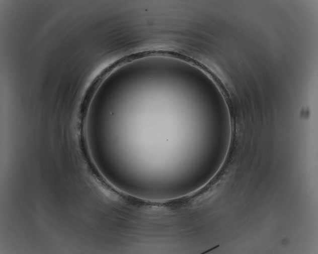 X0000094901119200711291226