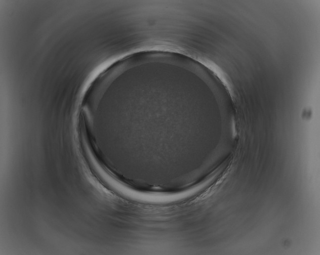 X0000094901120200711291226