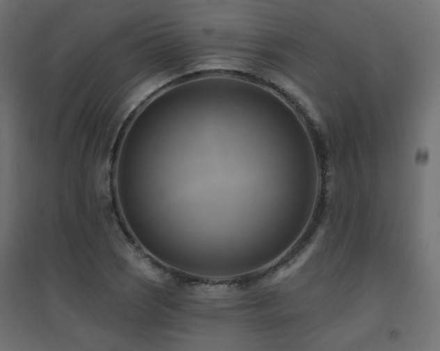 X0000094901121200711291226