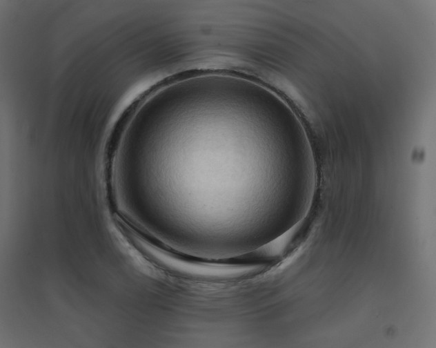 X0000094901122200711291226