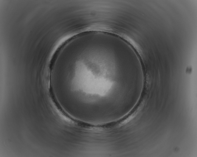 X0000094901123200711291226