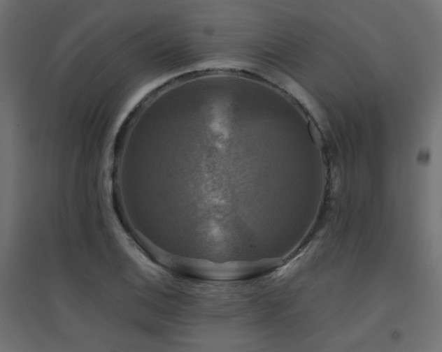 X0000094901124200711291226