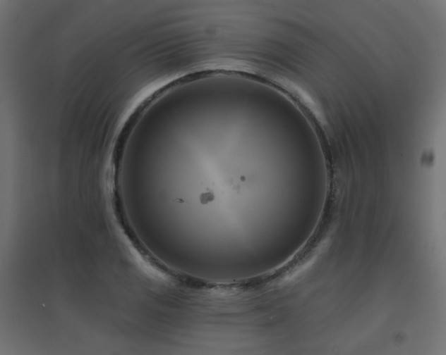 X0000094901125200711291226
