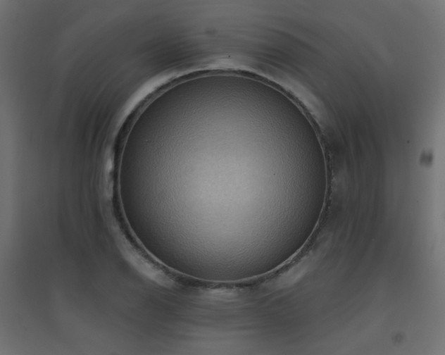 X0000094901126200711291226