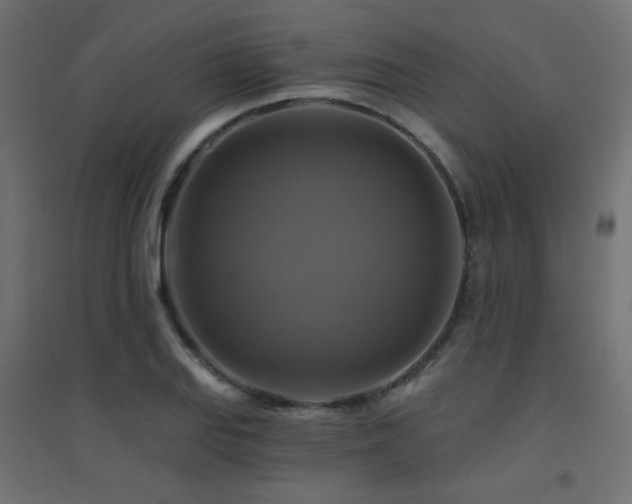 X0000094901127200711291226