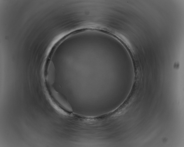 X0000094901128200711291226