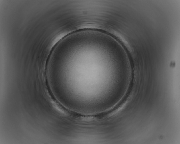 X0000094901129200711291226