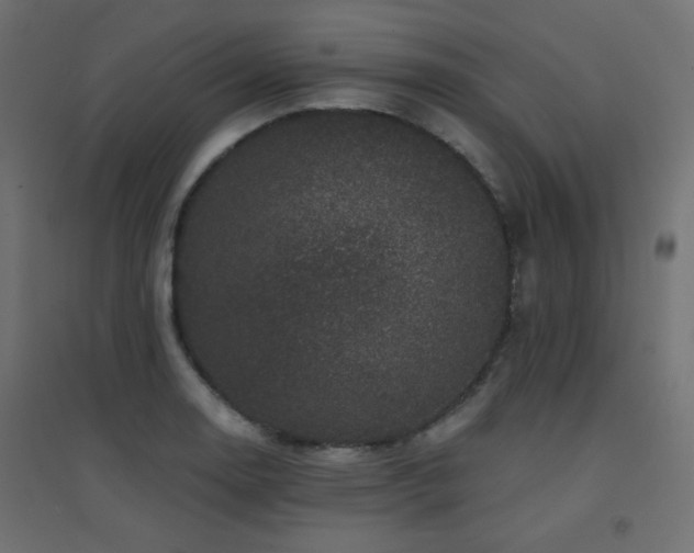 X0000094901130200711291226