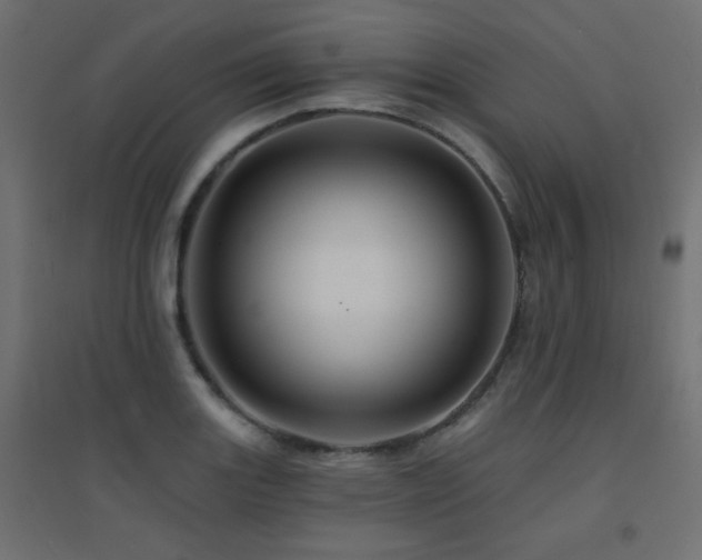 X0000094901131200711291226