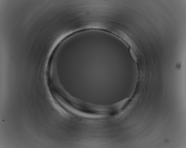 X0000094901132200711291226