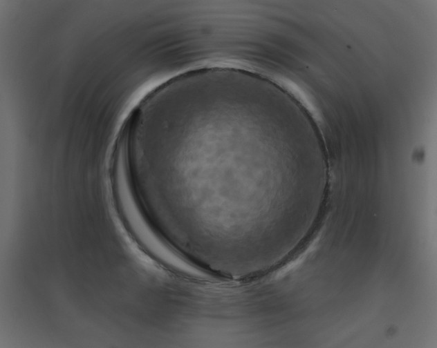 X0000094901133200711291226