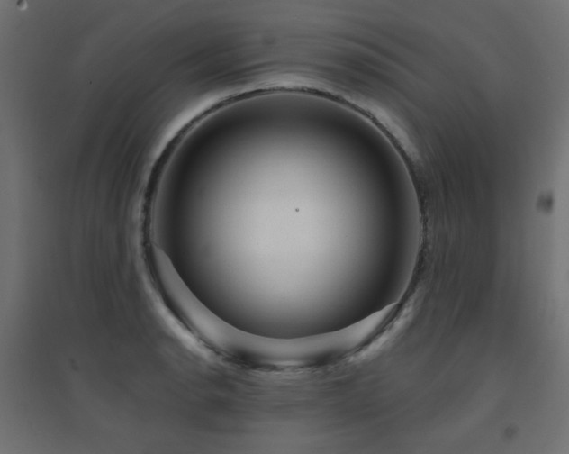 X0000094901134200711291226