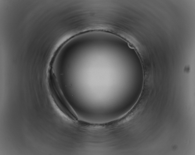 X0000094901135200711291226