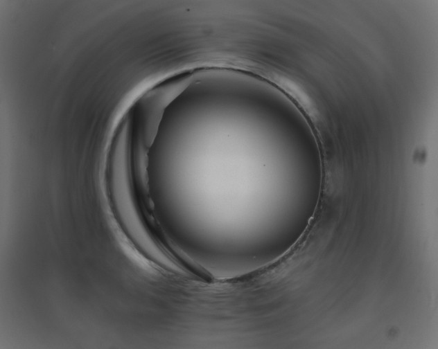 X0000094901136200711291226