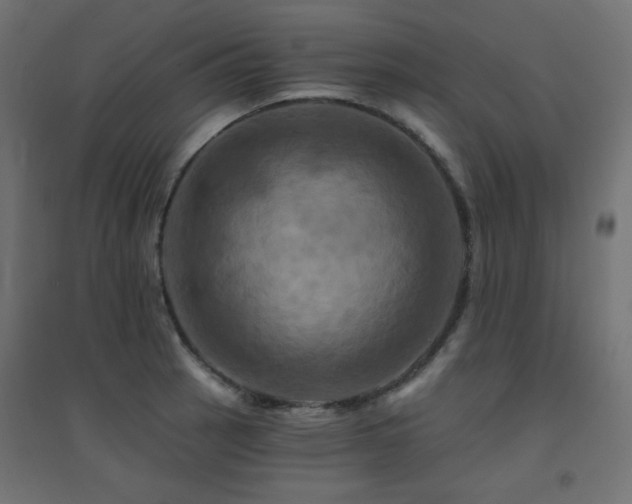 X0000094901137200711291226