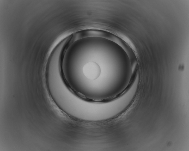 X0000094901138200711291226