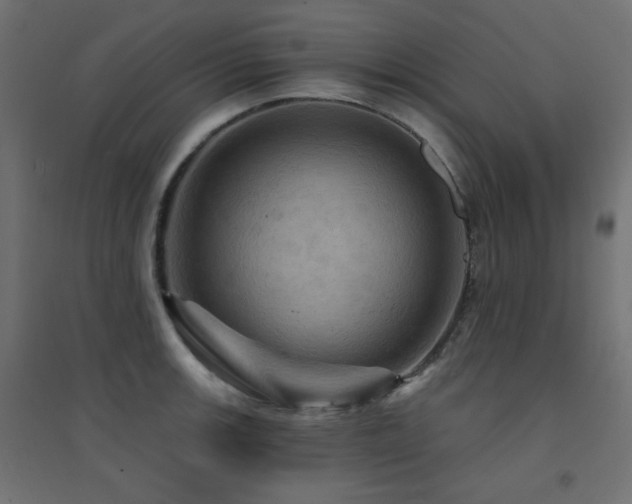 X0000094901139200711291226