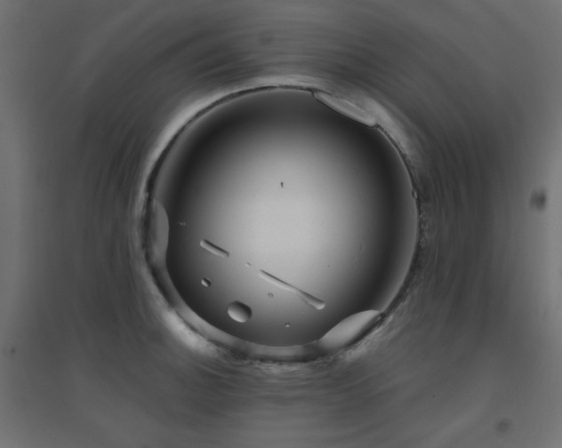 X0000094901140200711291226
