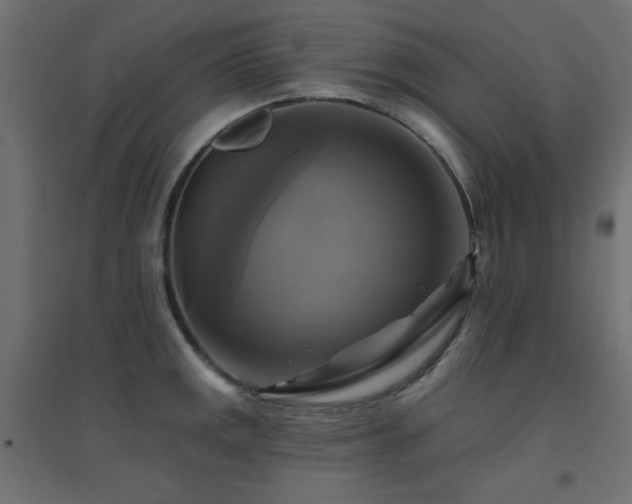X0000094901141200711291226