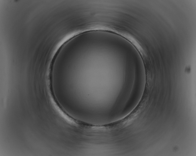 X0000094901142200711291226