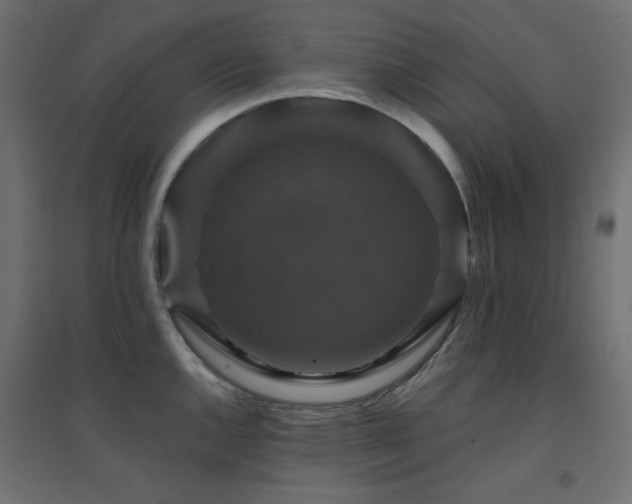 X0000094901144200711291226