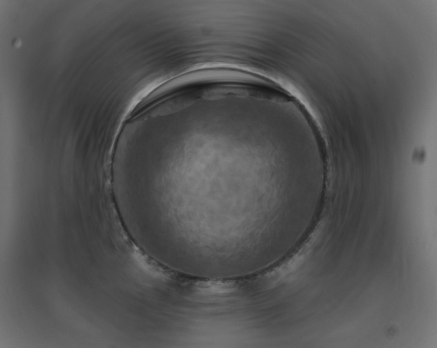 X0000094901145200711291226