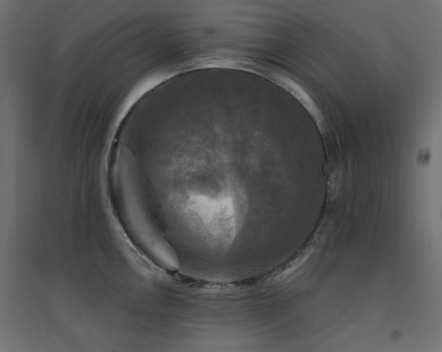 X0000094901146200711291226