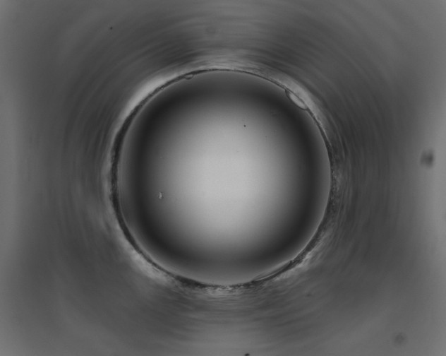 X0000094901147200711291226