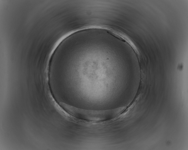 X0000094901148200711291226