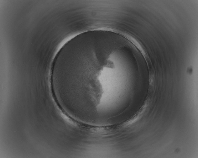X0000094901149200711291226