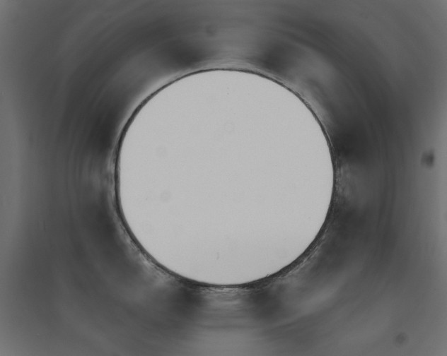 X0000094901150200711291226
