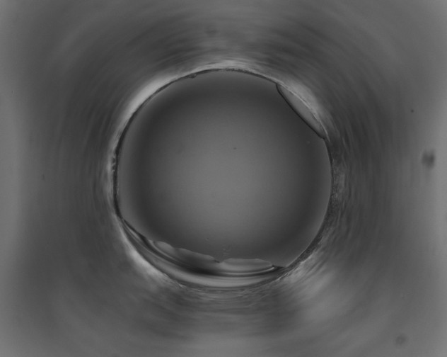 X0000094901151200711291226