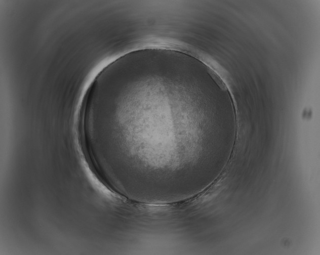 X0000094901152200711291226