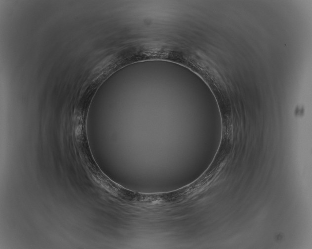 X0000094901154200711291226