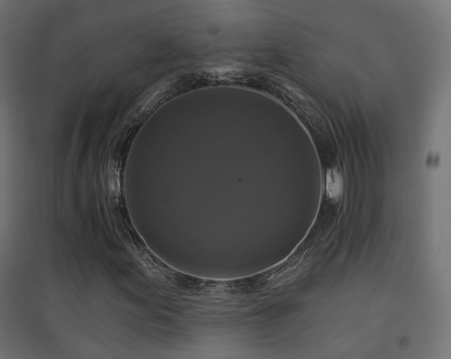 X0000094901155200711291226